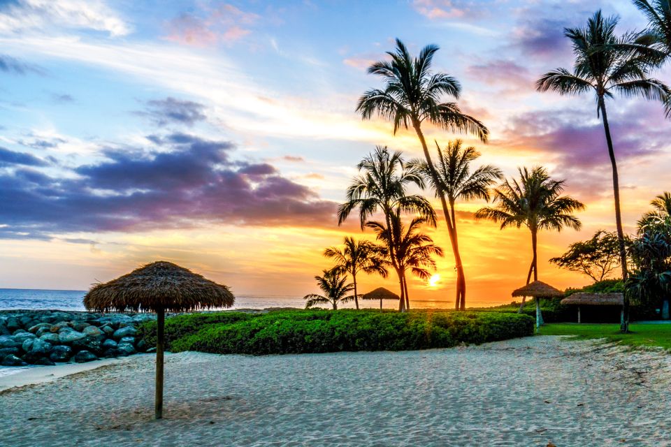Oahu: Sunset Cruise of West Oahu with Drinks and Appetizers - What You’ll See: Coast Views, Dolphins, and Possible Whale Spouts