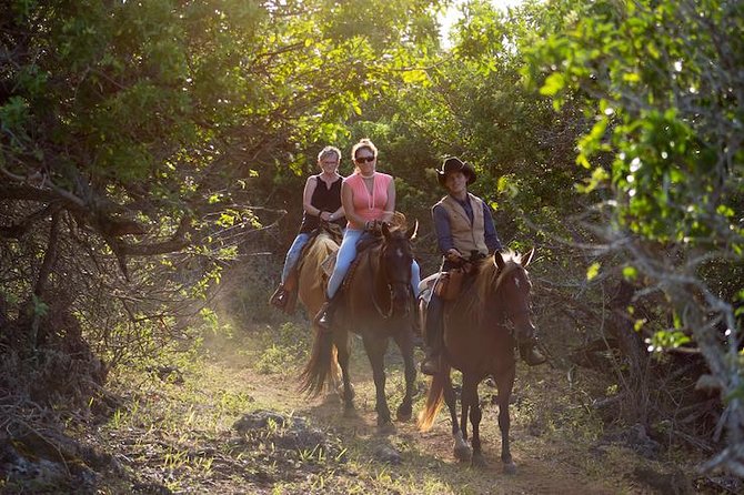 Oahu Sunset Horseback Ride - Key things that make this ride worth your time