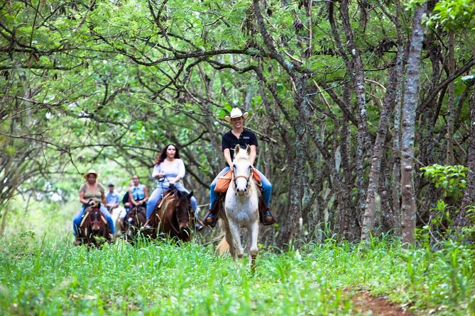 Oahu Sunset Horseback Ride - The 1.5-hour flow: from ranch safety talk to the lookout