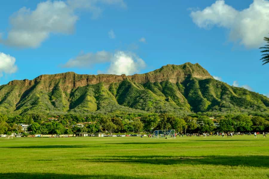 Oahu: Ultimate Pearl Harbor and Circle Island Tour - Tropical Farms macadamia stop: snack break and souvenir time