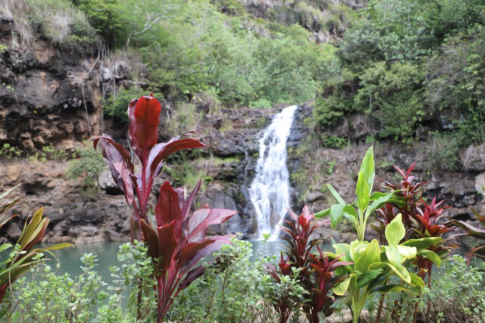 Oahu: Valley of Waimea Falls Swim & Hike with Lunch & Dole - Greenworld Coffee Farm: The Best Kind of Warm-Up