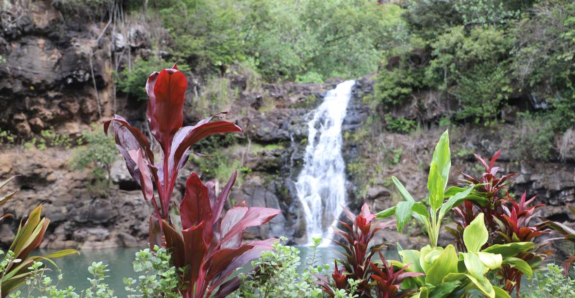 Oahu: Valley of Waimea Falls Swim & Hike with Lunch & Dole - Waimea Valley Hike: Short Distance, Real Variety
