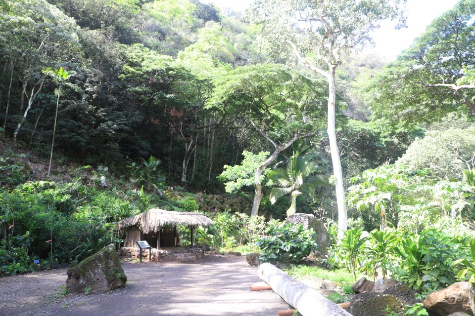 Oahu: Valley of Waimea Falls Swim & Hike with Lunch & Dole - Waimea Falls Swim: Safety, Conditions, and Footwear Reality