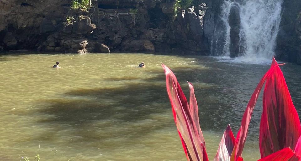 Oahu: Valley of Waimea Falls Swim & Hike with Lunch & Dole - Dole Plantation Stop: Tourist-Heavy, But Useful