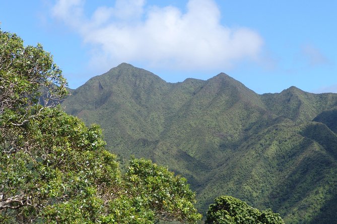 Oahu Volcanic Rainforest Hiking Adventure - How far you’ll hike: 2.5 miles one-way, dirt trail pace, and rest breaks
