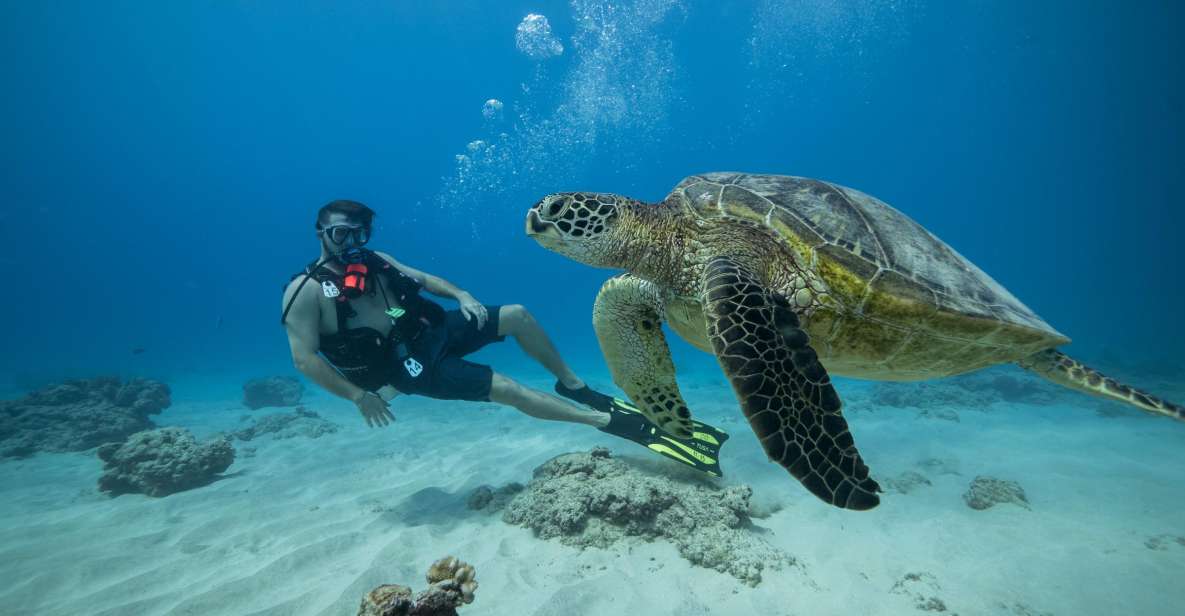 Oahu: Waikiki Discovery Scuba Diving for Beginners - Meeting at Front Row (Slip F8) and Getting Ready at the Harbor