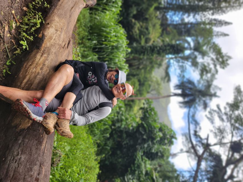 Oahu: Waikiki E-Bike Ride and Manoa Falls Hike - Price and Value: Is $189 Worth It?