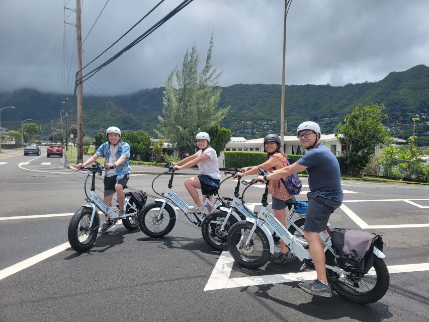 Oahu: Waikiki E-Bike Ride and Manoa Falls Hike - Who Should Book This Tour (and Who Should Skip It)