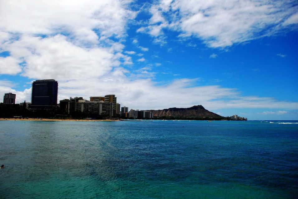 Oahu: Waikiki Eco-Friendly Afternoon Whale Watching Trip - Crew Narration: What You’re Meant to Watch for Out on the Water