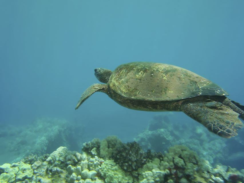 Oahu: Waikiki Snorkel and Sailing Trip with Lunch - Getting Ready: What to Pack for a Comfortable Waikiki Sea Day