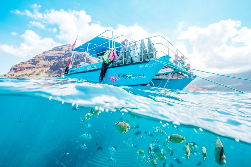 Oahu: Waikiki Turtle Snorkeling Adventure - Motion sickness: the one prep step you should not skip