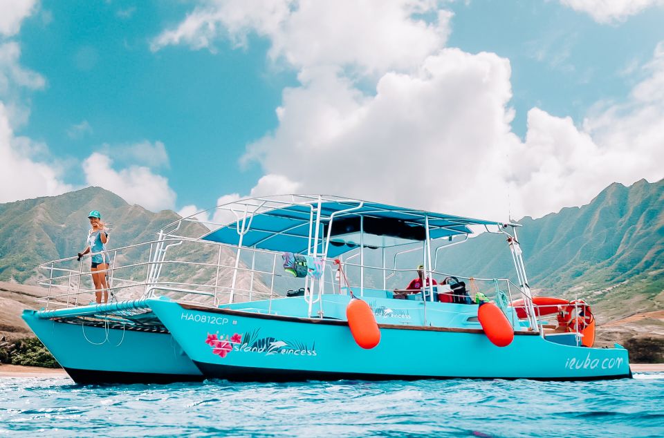 Oahu: Waikiki Turtle Snorkeling Adventure - Views, timing, and the dolphin/whale “maybe” that can turn into a highlight