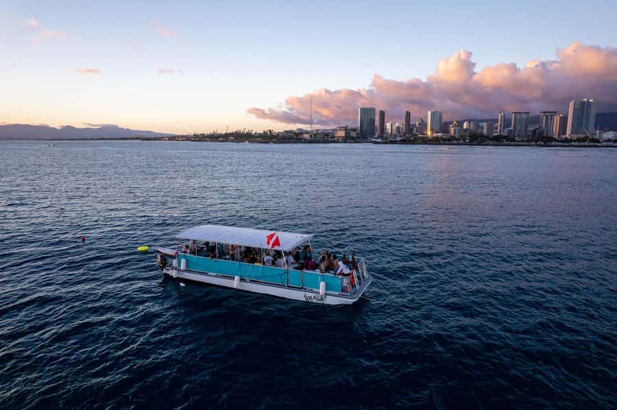 Oahu: Waikiki Whale Watch Boat Tour - Kewalo Basin logistics: how to avoid the boat-hunt problem