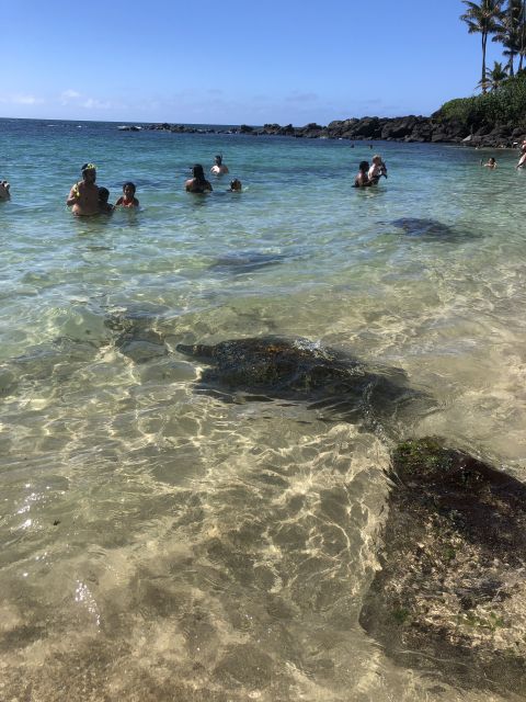 Oahu: Waimea Falls & valley & North Shore day - Lunch at North Shore Shrimp Trucks: Simple, Local, and Fast
