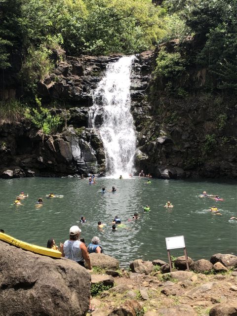 Oahu: Waimea Falls & valley & North Shore day - Afternoon Turtle Searching, Beach Hopping, and Local Art Stops