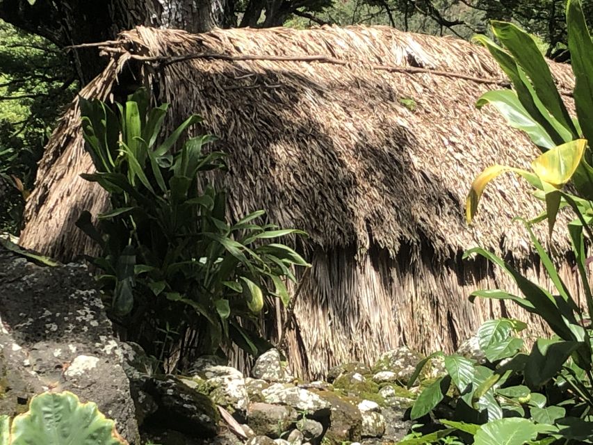 Oahu: Waimea Falls & valley & North Shore day - Price and Value: What $150 Buys You for One Day