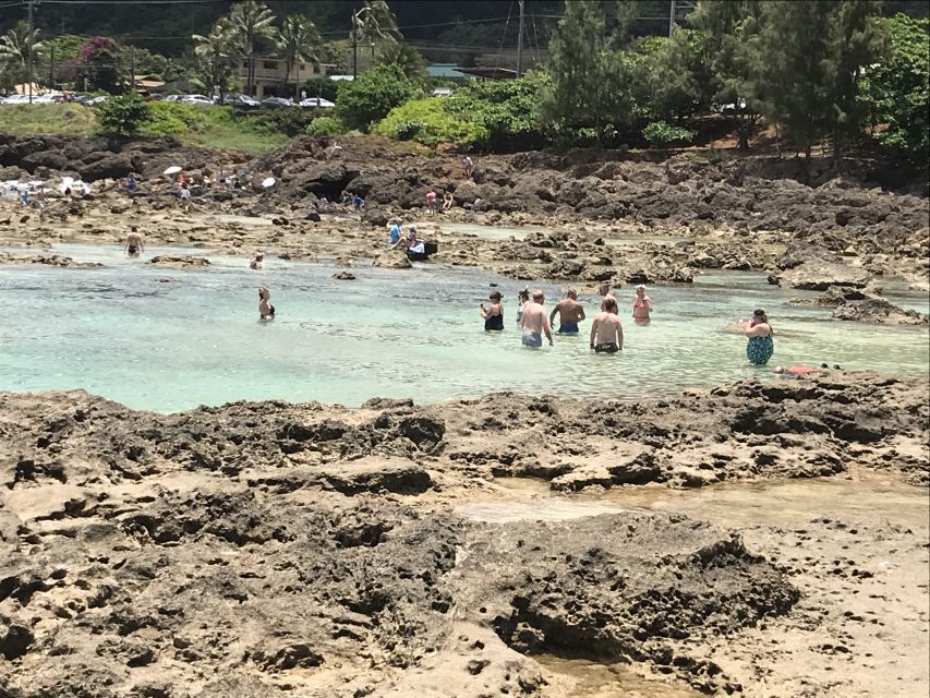 Oahu: Waimea Falls & valley & North Shore day - Getting There in Comfort: Pickup, Small Groups, and Included Gear