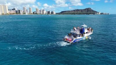 Oahu: Whale Watching Cruise Whales Guaranteed - Double-decker power boat + coastline views that stay interesting