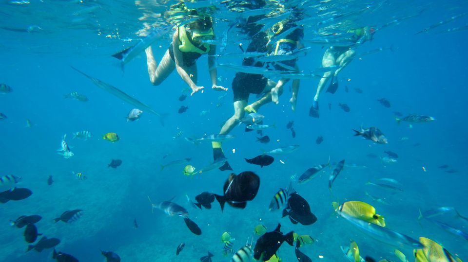 Oahu: Wild Dolphins Swim Turtle Snorkel Tour & Waterslide - Waterslide, SUP, kayak, and a floating mat: the “play zone” at sea