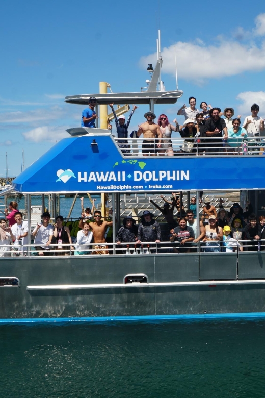 Oahu: Wild Dolphins Swim Turtle Snorkel Tour & Waterslide - Lunch plus the small comforts that keep the mood happy