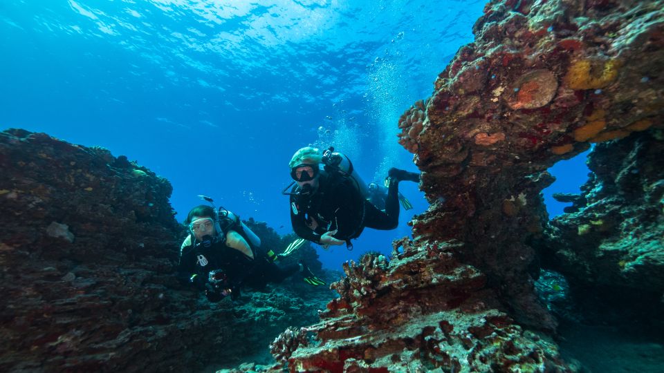 Oahu: Wreck & Reef Scuba Dive for Certified Divers - Key takeaways before you book
