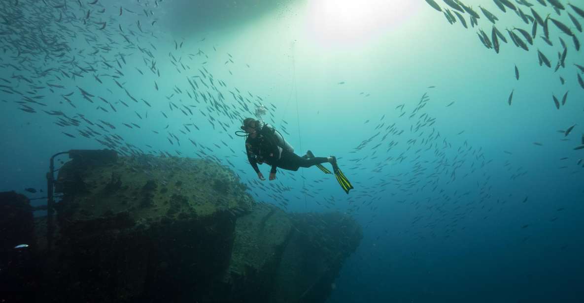 Oahu: Wreck & Reef Scuba Dive for Certified Divers - How the 3-hour schedule stays fun (not rushed)