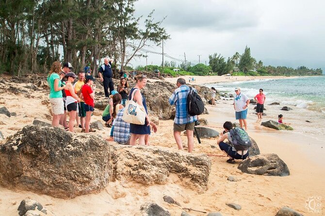 Oahu's Cheapest Circle Island Tour - Diamond Head to Halona Blowhole: East Oahu Views on a Photo-First Schedule