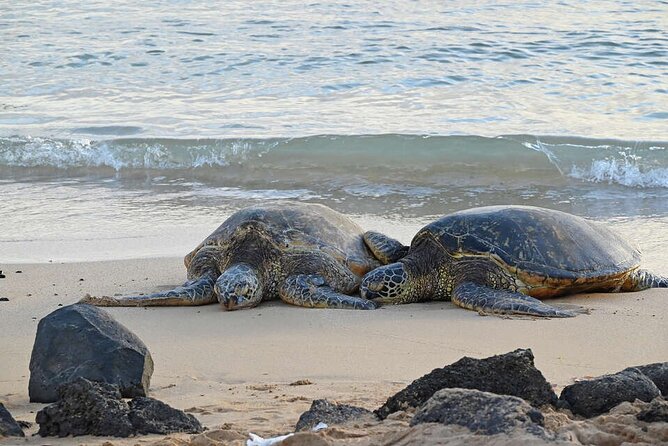Oahu's Cheapest Circle Island Tour - North Shore Food and Fruit Stand Time: Keep Your Energy Up