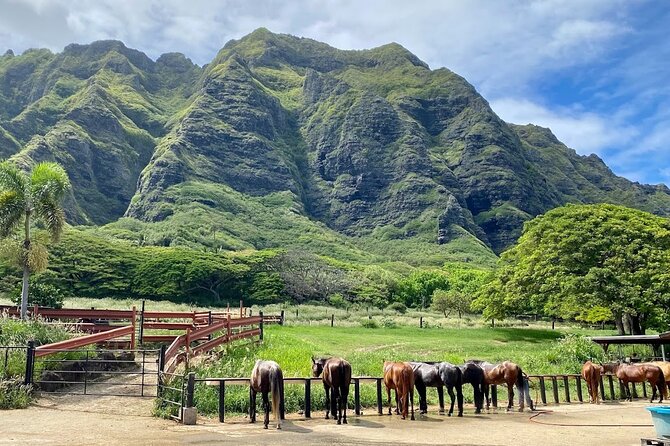 Oahu's Fun and Foodie Tour Groups of 5 or more Only! - Kualoa Ranch Private Nature Reserve: Sacred Land With a Steward’s Mindset