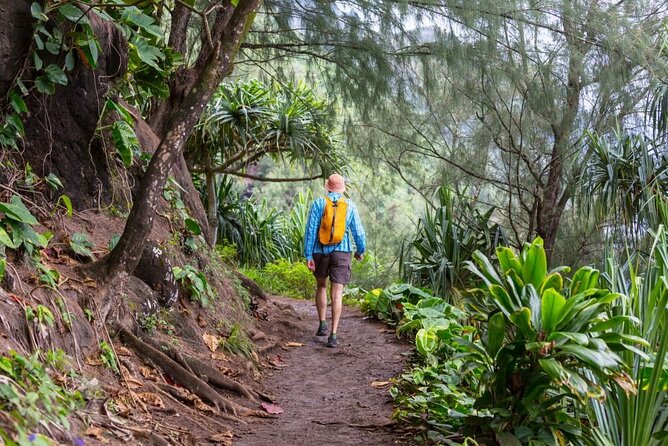 Oahu's North Shore Self-Guided Audio Tour - How the Shaka Guide Audio Tour Works (No Driver Needed)