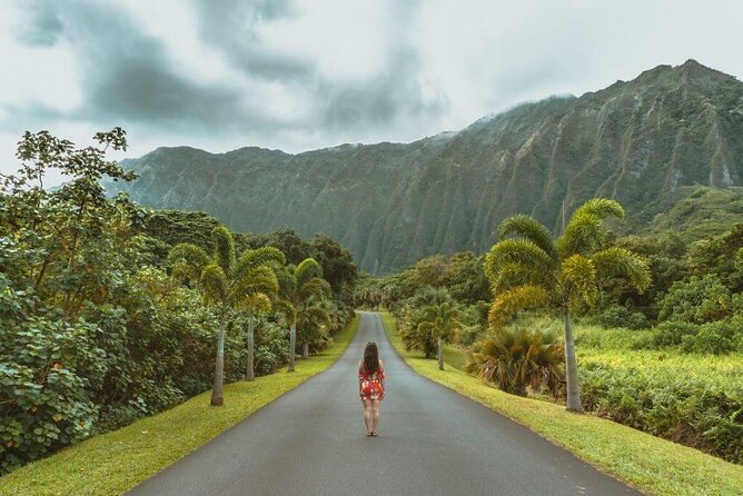 Oahu's North Shore Self-Guided Audio Tour - Ted’s Bakery, Kahuku Shrimp, and the Lunch That Actually Works