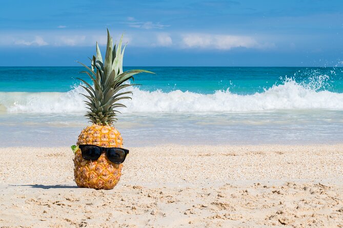 Oahu's Ultimate Grand Circle Island Tour with Snorkeling and More - Morning plan: early pickup, air-conditioned comfort, and a full loop
