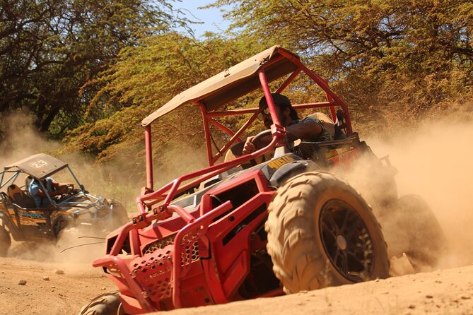 Off-Road ATV Adventure with Roundtrip Shuttle from Waikiki - Getting to Coral Crater: Waikiki Shuttle and Check-In Flow