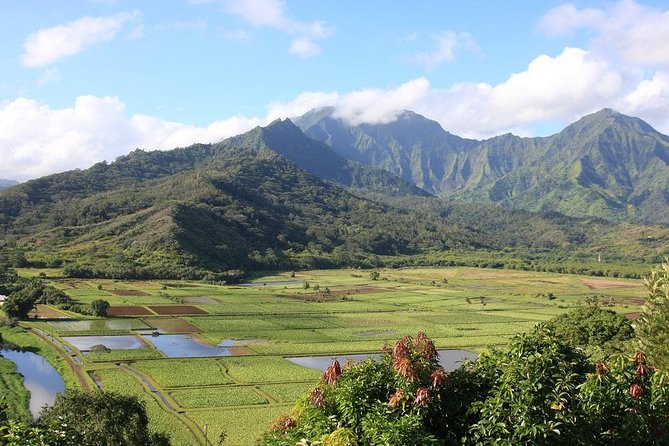 One-Day Tour Hawaii Movie Tour: Island Hopping from Oahu to Kauai - Why this movie-locations tour feels different on Kauai