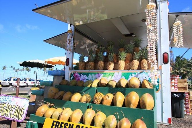 One-Day Tour Hawaii Movie Tour: Island Hopping from Oahu to Kauai - Stop-by-stop on Kauai: pier scenes, Wailua Falls, and the film-title pattern