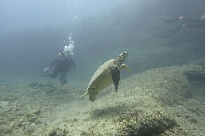 Open Water Scuba Certification - Two Weekends, Four Parts: How the SSI Open Water Course Fits Your Oahu Trip