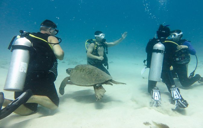 Open Water Scuba Certification - Day 2 Offshore: Open-Water Sessions Where Skills Meet Real Ocean Conditions