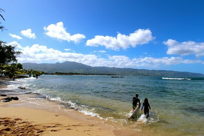 Paddle Board North Shore with Rescue Dogs - Key things that make this SUP trip special