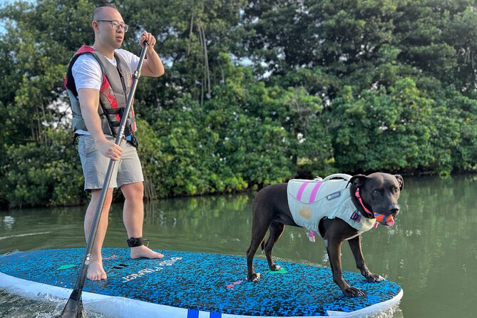 Paddle Board North Shore with Rescue Dogs - Entering Oahu’s North Shore at the pace of a river