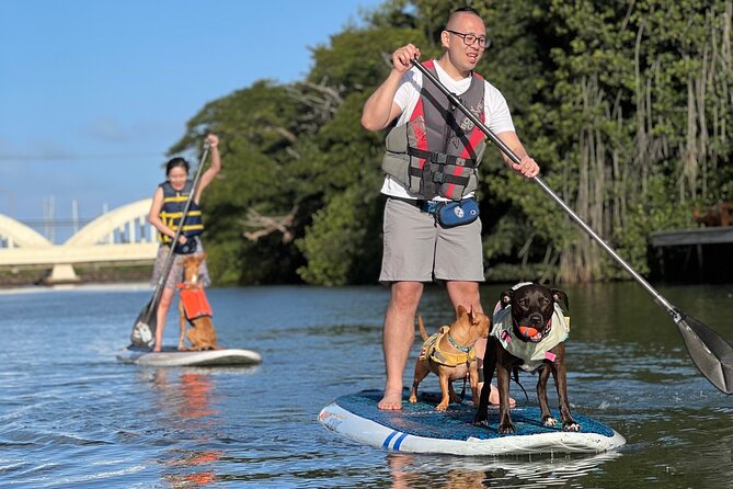 Paddle Board North Shore with Rescue Dogs - Equipment is included, and the prep reduces stress