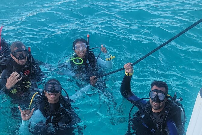 PADI Open Water Certification Course Shared Experience - A 6:00am Honolulu meeting point that keeps the day moving