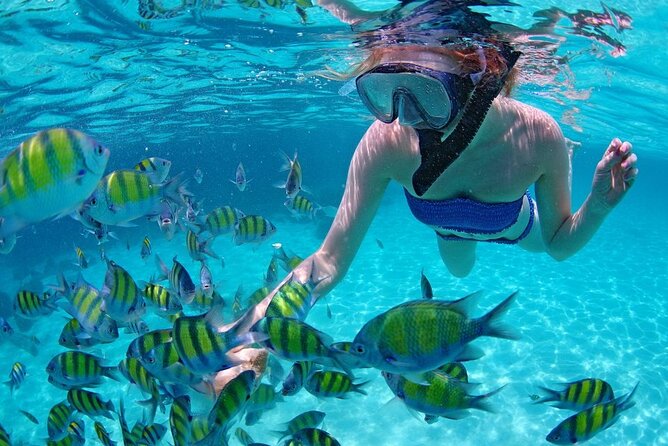 Paradise Waikiki Sunset Cruise + LIVE DJ + SWIMMING - Snorkel gear and the swimming rules you should double-check