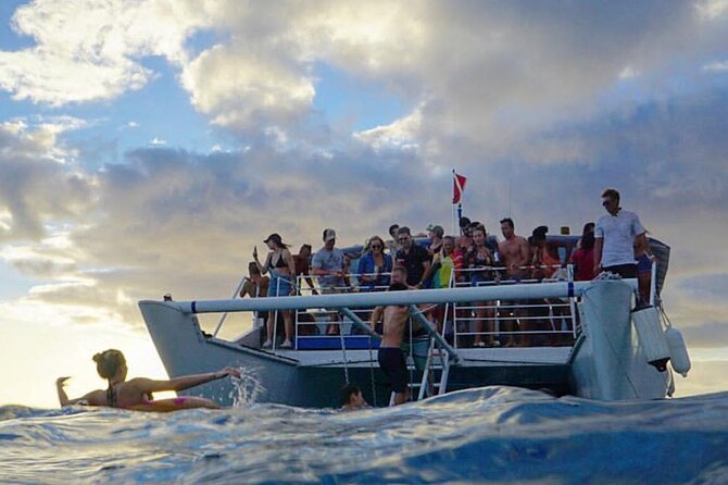 Paradise Waikiki Sunset Cruise + LIVE DJ + SWIMMING - Sea life chances around Waikiki (and how to actually spot it)