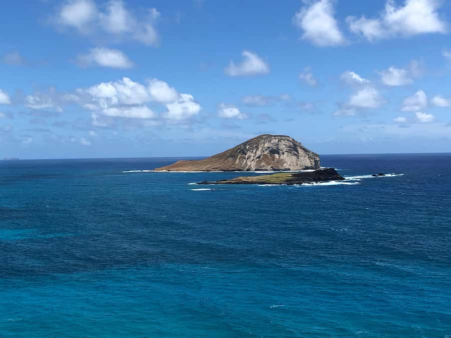 Pearl Harbor and Scenic Oahu Private Tour - Key highlights worth planning around