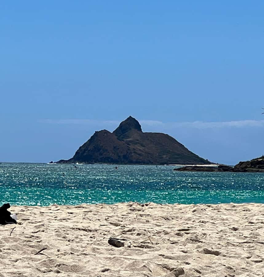 Pearl Harbor and Scenic Oahu Private Tour - North Shore plan: Dole, Haleiwa, Kahuku, and Kualoa