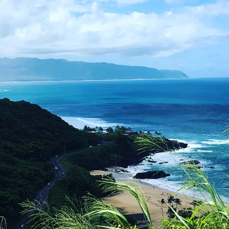 Pearl Harbor and Scenic Oahu Private Tour - Who this private tour fits best