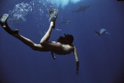 Pelagic Shark Dive Tour - Island View Hawaii meeting point and boarding a small-boat setup