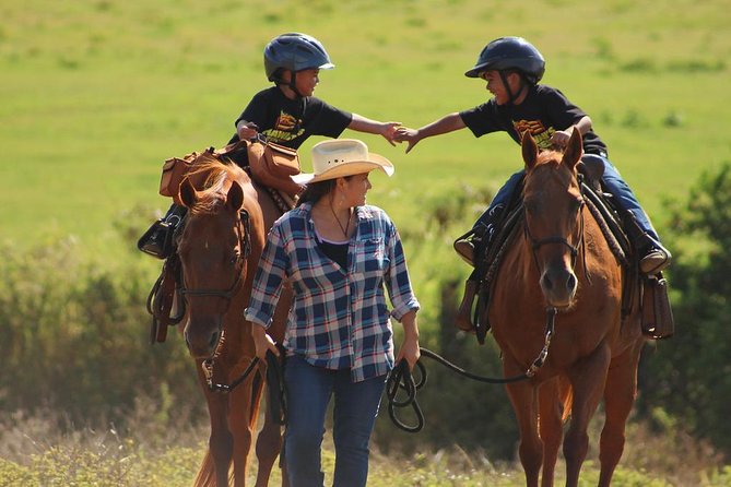 Pony Rides For Kids - Key things that make this pony ride work for families
