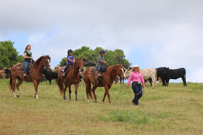 Pony Rides For Kids - Gunstock Ranch on Oahu’s North Shore: where the experience starts