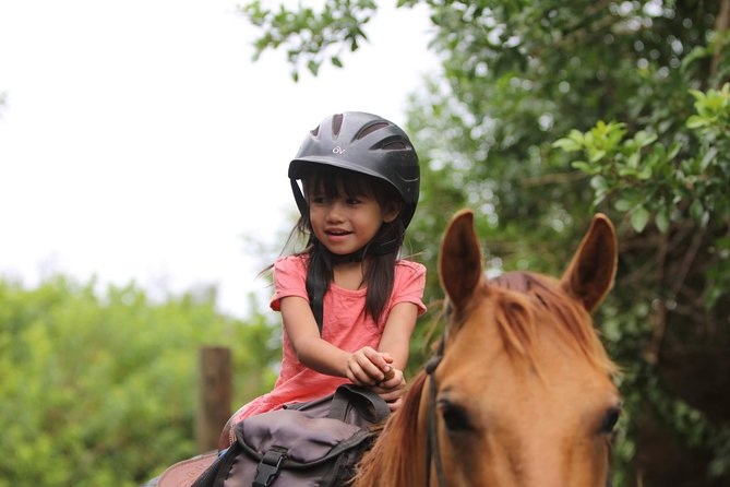 Pony Rides For Kids - After the ride: feeding, petting, brushing, and a free petting zoo